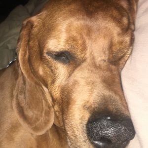 Meet your Posher, Claire